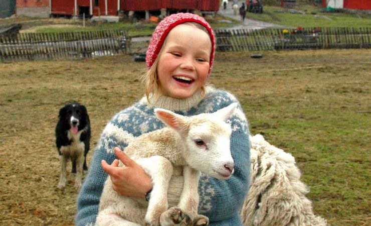 Åpen dag på Skuterud gård